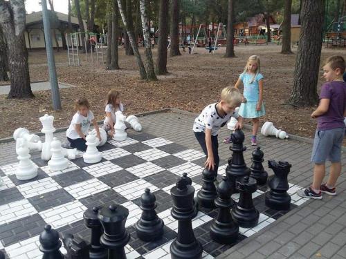 42130632 2136744209977774 7203031073062649856 n