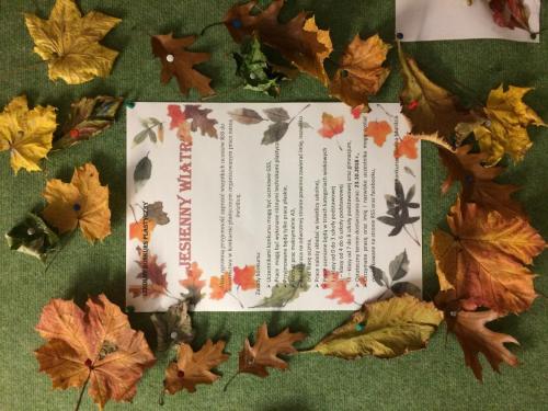 IMG 5796