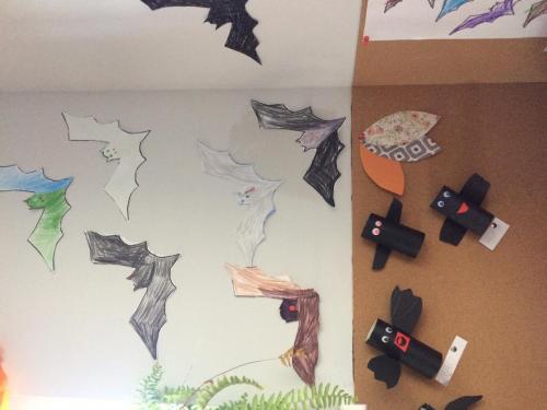 IMG 6001