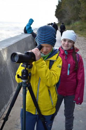 DSC 8610