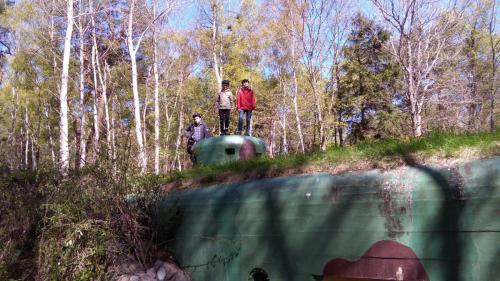 IMG 20170513 104203