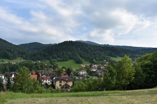 DSC 0535