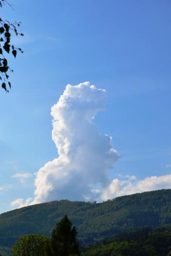 DSC 1385