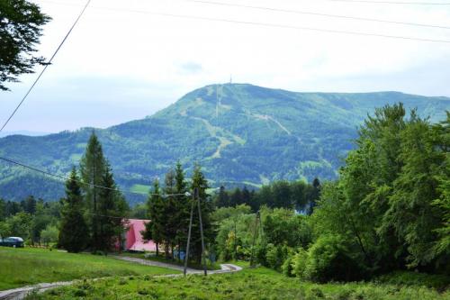 DSC 1485