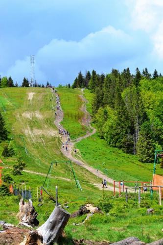 DSC 1498